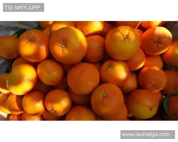 深入解析V5战队的转换打法与战术创新之路