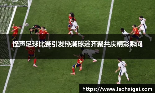 怪声足球比赛引发热潮球迷齐聚共庆精彩瞬间